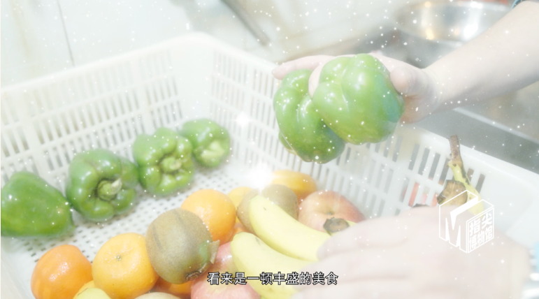 逛不完的动物园Vol.6 | 大猩猩的春季美食清单来啦！