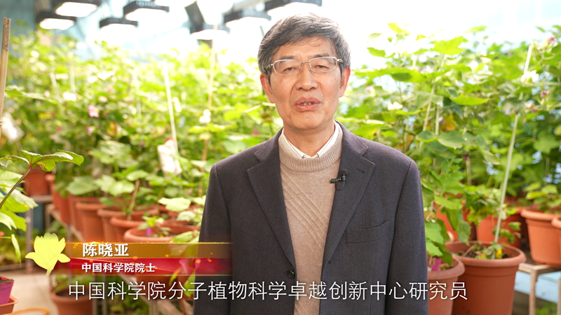 上海科普教育创新奖获奖风采（三）陈晓亚