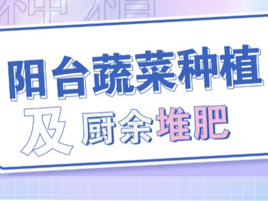 【科普服务流动驿站】阳台蔬菜种植及厨余堆肥
