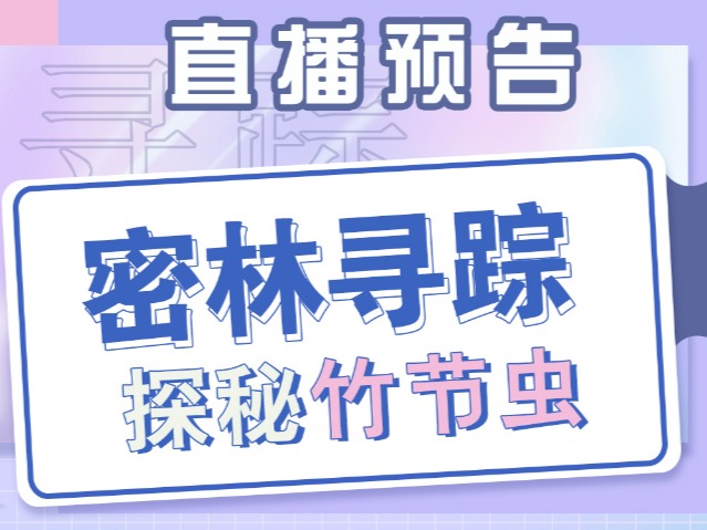 【科普服务流动驿站】密林寻踪，探秘竹节虫