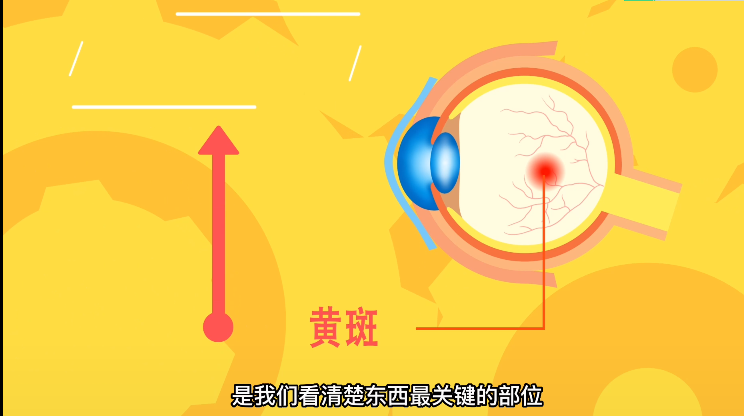 原来黄斑病变的危害那么大！
