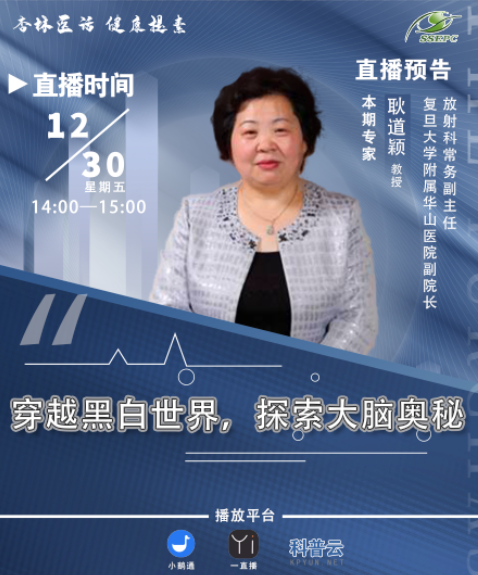 穿越黑白世界，探索大脑奥秘