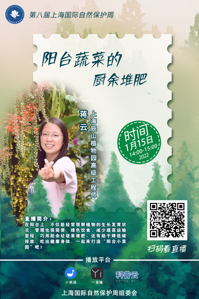 阳台蔬菜的厨余堆肥