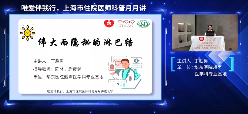 伟大而隐秘的淋巴结