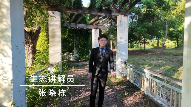 《生境之灵》