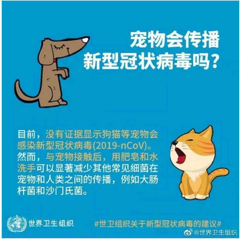 【“疫”期来看】还在为疫期宠物该如何养而操心？赶紧收藏这份宝典吧！