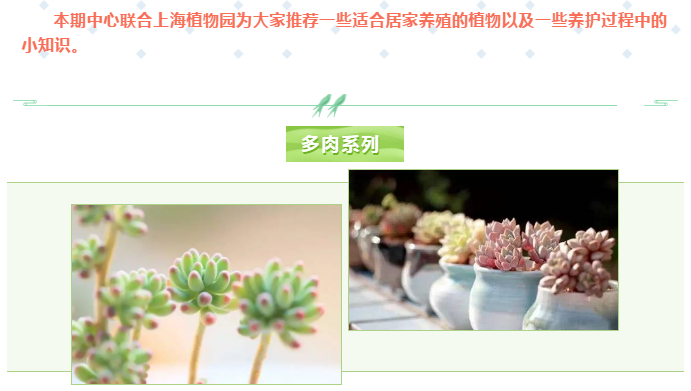 【“疫”期来看】疫情当前少出门？不如在家养养它们！