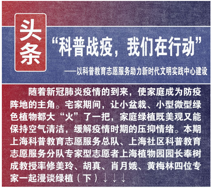 【自我防护】植物竟然也有“抗疫”功效？上海植物园专家组团解答（下）