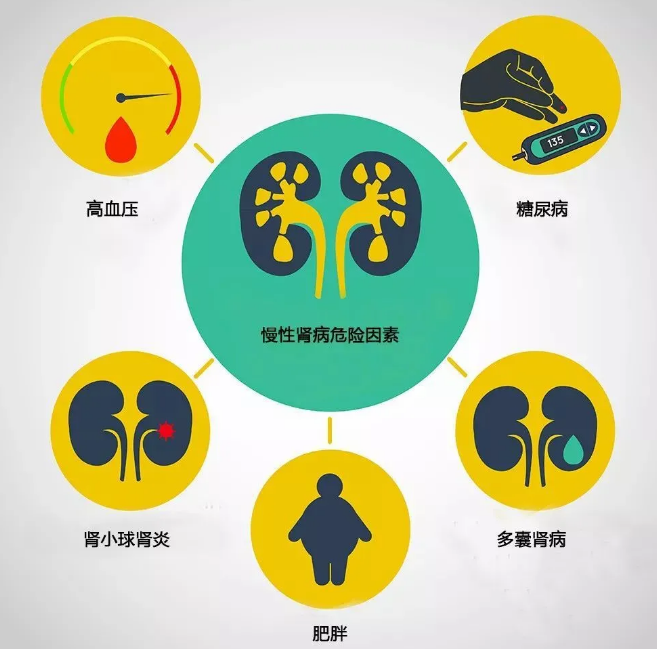 【自我防护】在新冠背景下，慢性肾脏病患者该如何随访和保健？