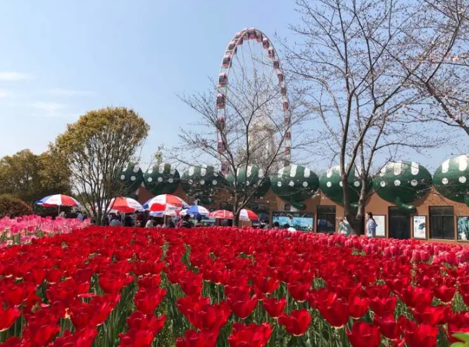 【“疫”期来看】清明小长假，各大公园有哪些花儿赏，哪些萌物看，打卡攻略在此！