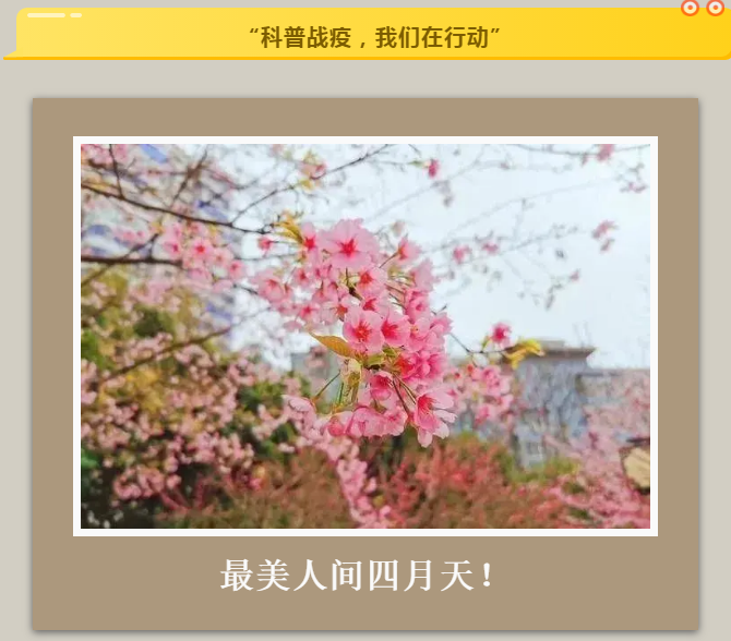 五一能否出去玩？专家解答来了！