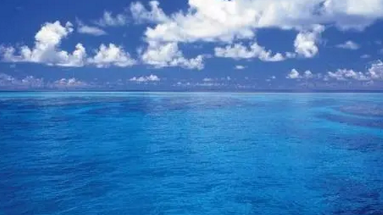 【科普资讯】那些你不知道的海洋冷知识