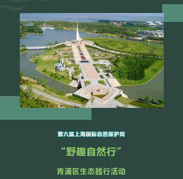 【活动报名】射箭比准、踩气球、摸石过河......小小探险家们，快来报名吧！