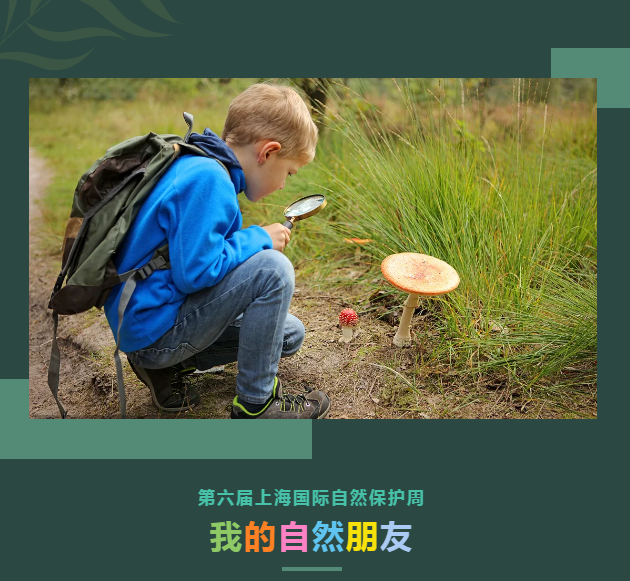 【我的自然朋友】第六届上海国际自然保护周手机随手拍大赛获奖名单出炉啦~~~
