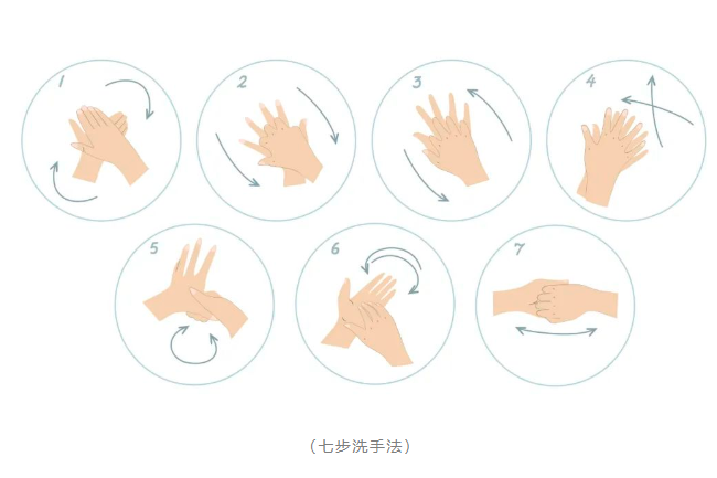 【防疫正当时】“七步洗手法”了解一下