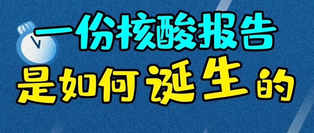 【一图读懂】一份核酸报告的诞生