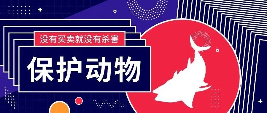 注意了，这些宠物不能随便养，可能违法！