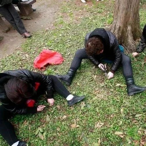 太危险！温暖气候加雨水滋润，在上海公园里做这件事的人多了起来