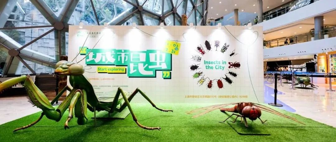 科普场馆主题活动 | “城市昆虫”展览 & 上海昆虫名录2023版发布！
