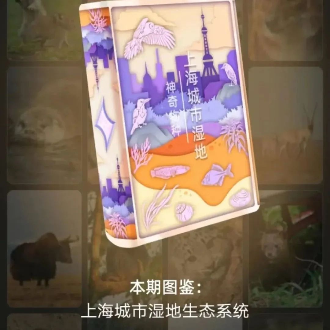 来支付宝蚂蚁森林，抽第九届自然保护周神奇物种卡片！