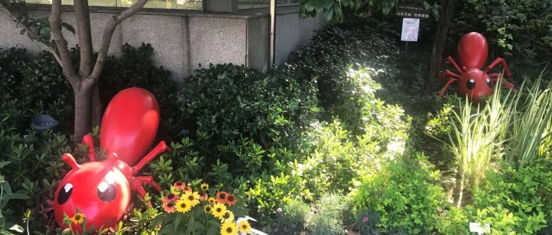 申申邀您扫一扫，为身边的植物申领“身份证”