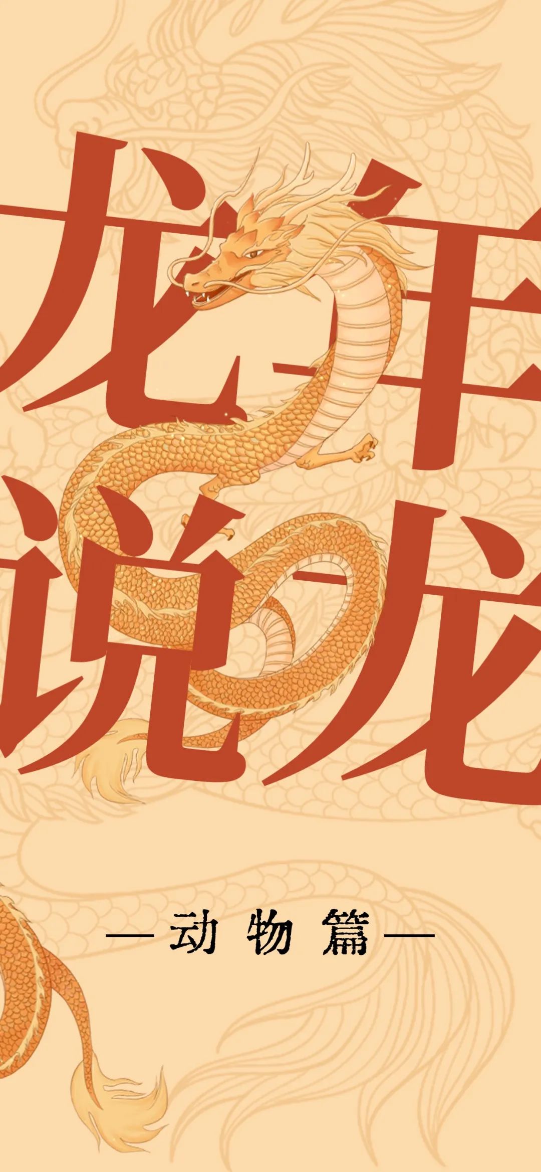见不到真龙，来看看这些龙的“平替”