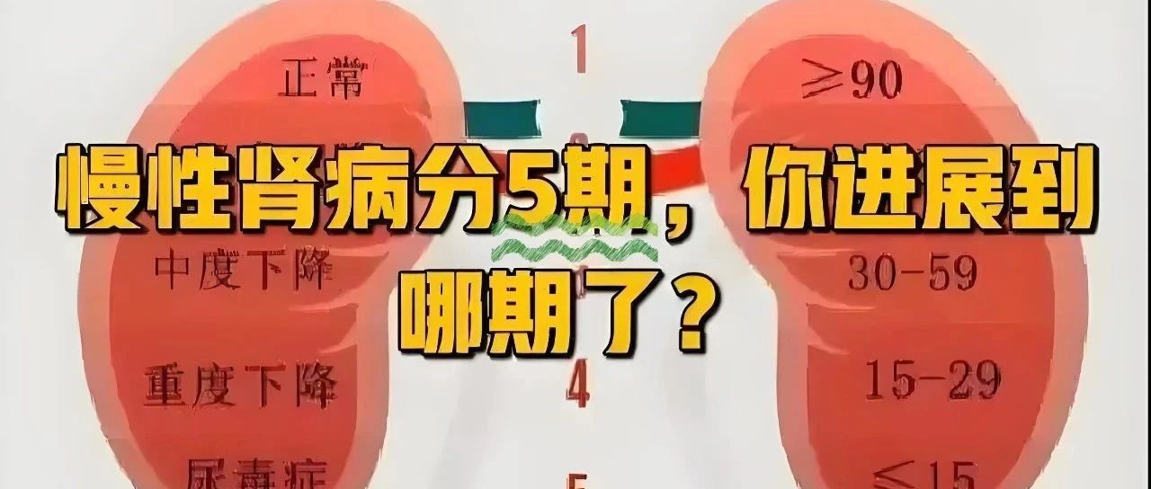 【斡旋三焦 调肾固本】慢性肾脏病3期何去何从？——走向逆转还是透析？