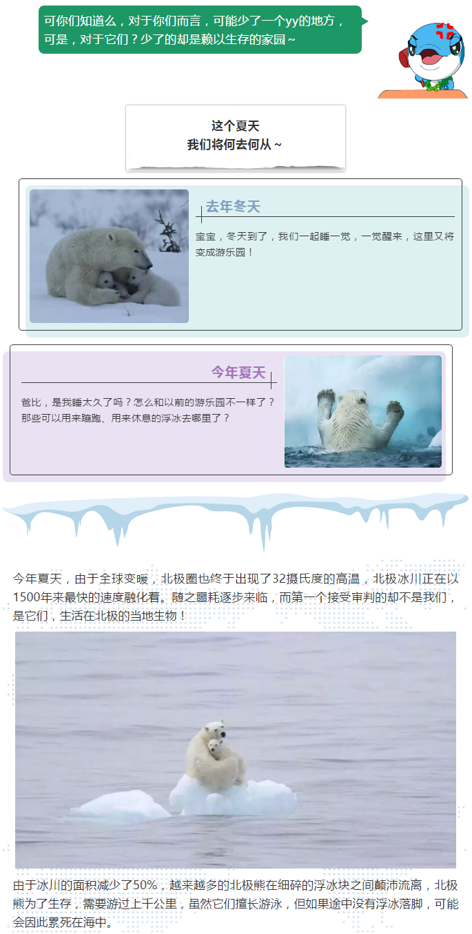 北极圈惊现32度高温，冰雪融化，北极熊将何去何从？