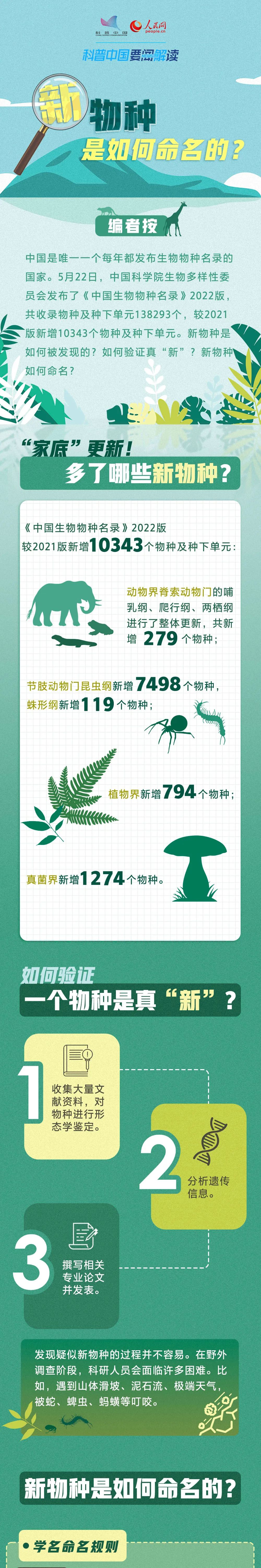 你知道新物种是如何命名的吗？